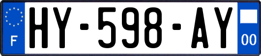 HY-598-AY