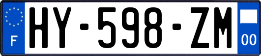 HY-598-ZM