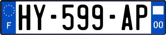 HY-599-AP