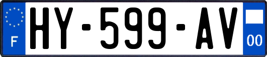 HY-599-AV