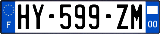 HY-599-ZM