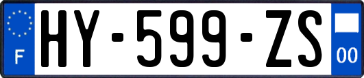 HY-599-ZS