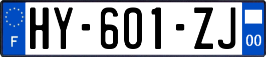 HY-601-ZJ