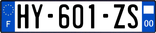HY-601-ZS