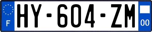 HY-604-ZM
