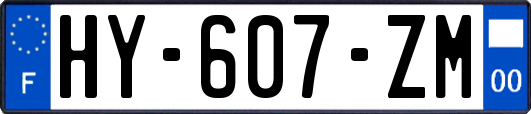 HY-607-ZM