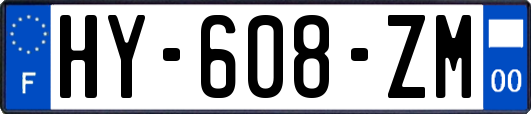 HY-608-ZM