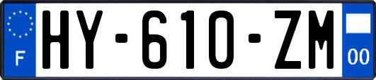 HY-610-ZM