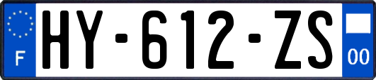 HY-612-ZS