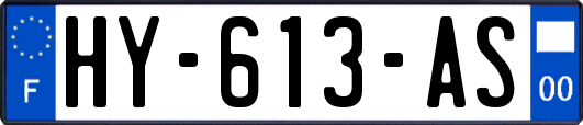 HY-613-AS