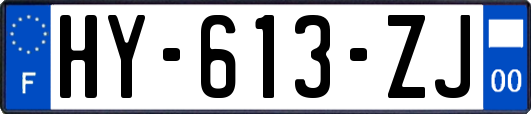 HY-613-ZJ