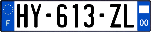 HY-613-ZL