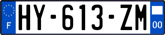 HY-613-ZM