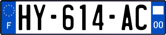 HY-614-AC