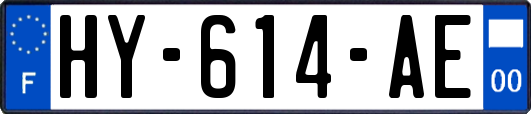 HY-614-AE