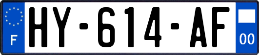 HY-614-AF