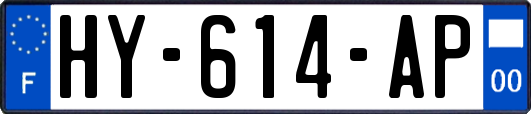 HY-614-AP