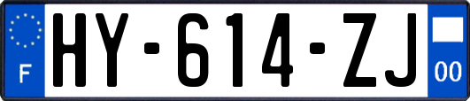 HY-614-ZJ