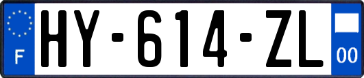 HY-614-ZL