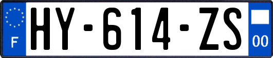 HY-614-ZS