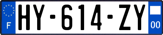 HY-614-ZY