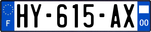 HY-615-AX