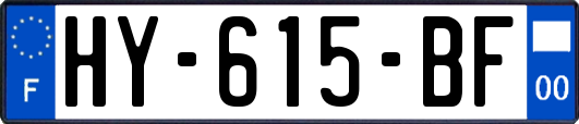 HY-615-BF