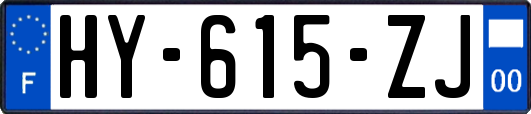 HY-615-ZJ