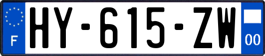 HY-615-ZW