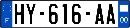 HY-616-AA