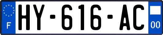 HY-616-AC
