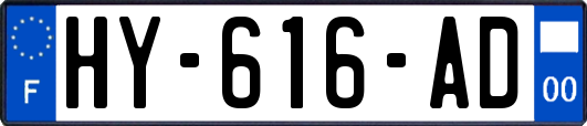 HY-616-AD
