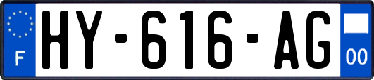 HY-616-AG
