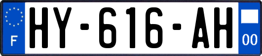HY-616-AH