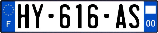 HY-616-AS