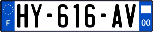 HY-616-AV