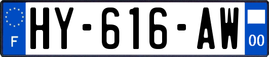 HY-616-AW