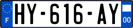 HY-616-AY