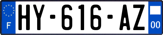 HY-616-AZ