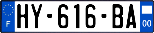HY-616-BA