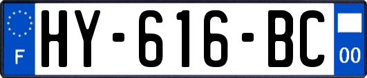 HY-616-BC