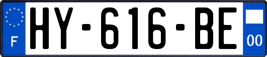 HY-616-BE