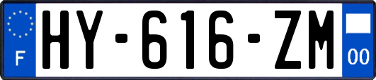 HY-616-ZM
