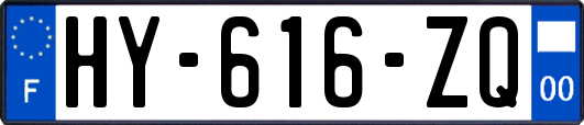 HY-616-ZQ