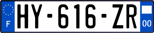 HY-616-ZR