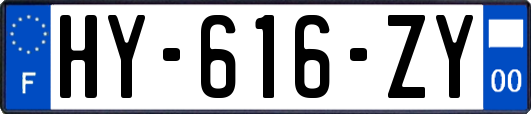 HY-616-ZY
