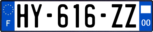 HY-616-ZZ