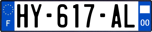 HY-617-AL