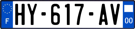 HY-617-AV