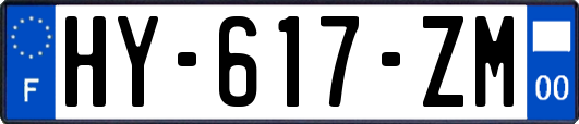 HY-617-ZM